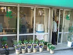 谷中霊園へのお参りに利用できる和泉家石材店のお花の店舗