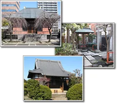 台東区の寺院の本堂と境内